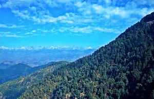 Dalhousie View